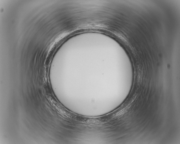 X0000053070974200508081215