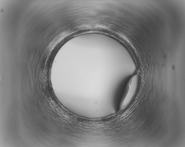 X0000053070975200508081215