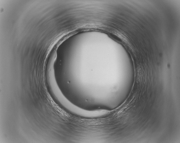 X0000053070976200508081215