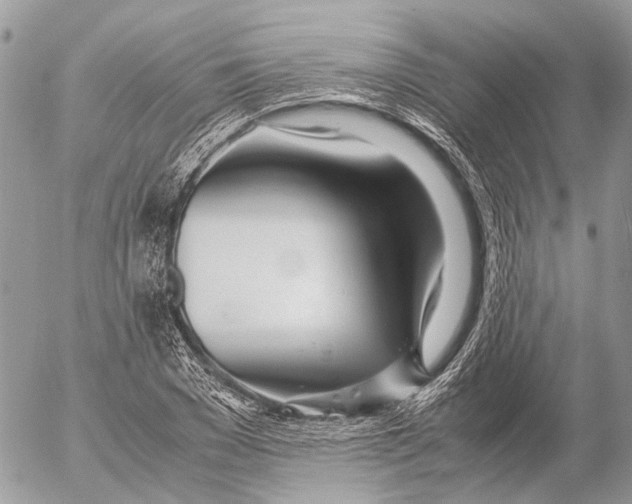 X0000053070977200508081215