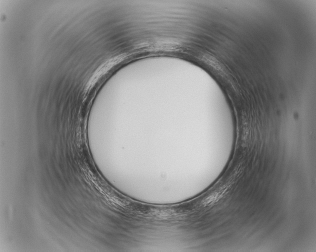 X0000053070978200508081215