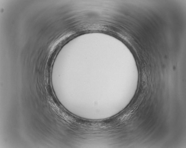 X0000053070979200508081215