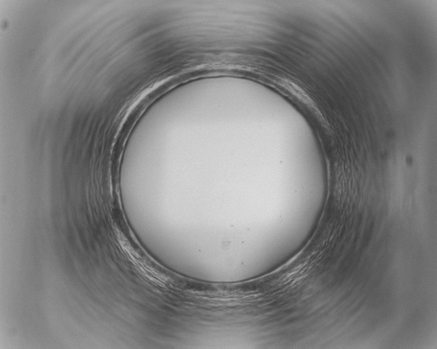 X0000053070980200508081215