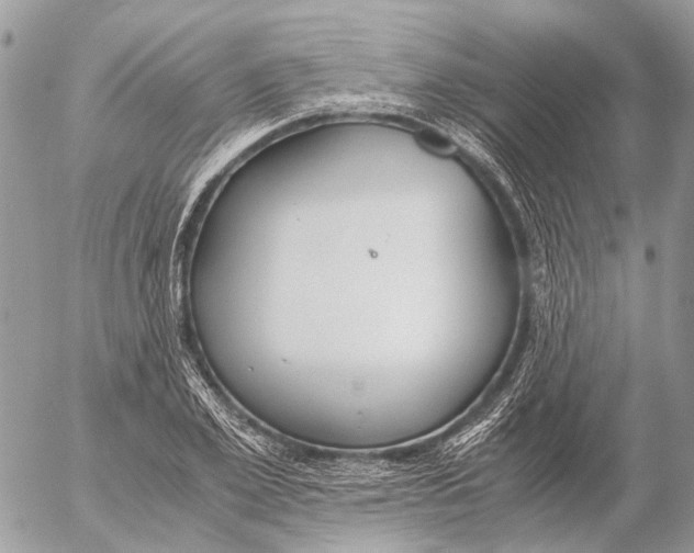 X0000053070981200508081215