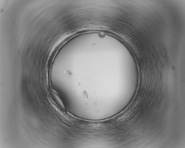 X0000053070982200508081215