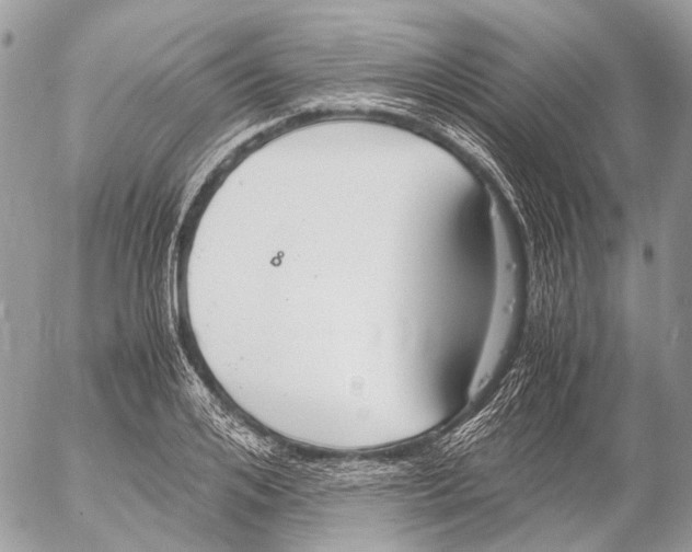 X0000053070984200508081215