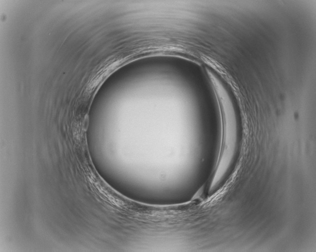 X0000053070985200508081215