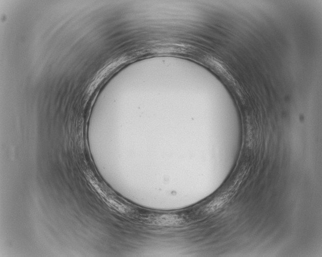 X0000053070986200508081215