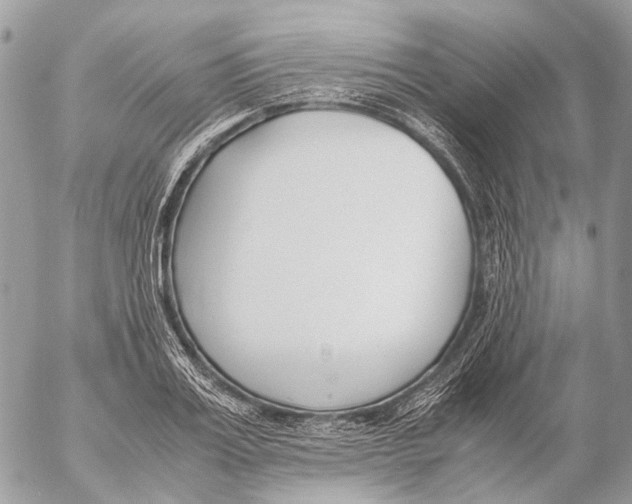 X0000053070987200508081215