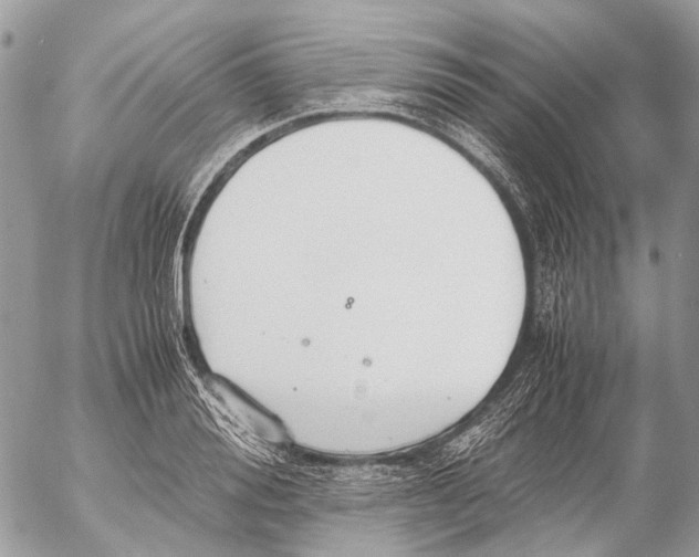 X0000053070988200508081215