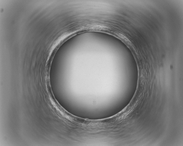 X0000053070989200508081215