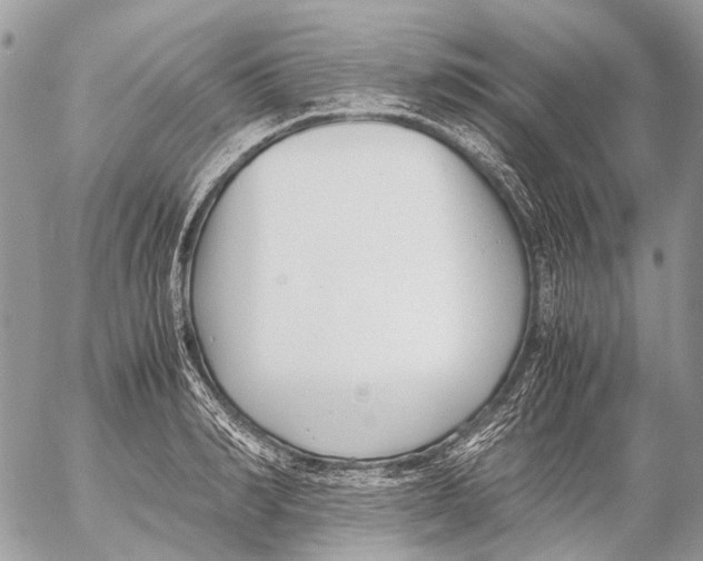 X0000053070990200508081215