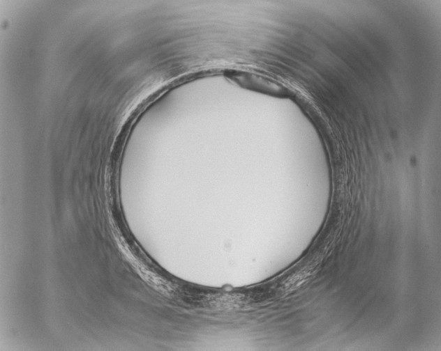 X0000053070991200508081215