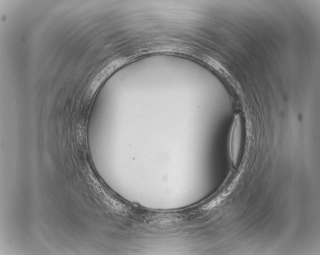 X0000053070993200508081215