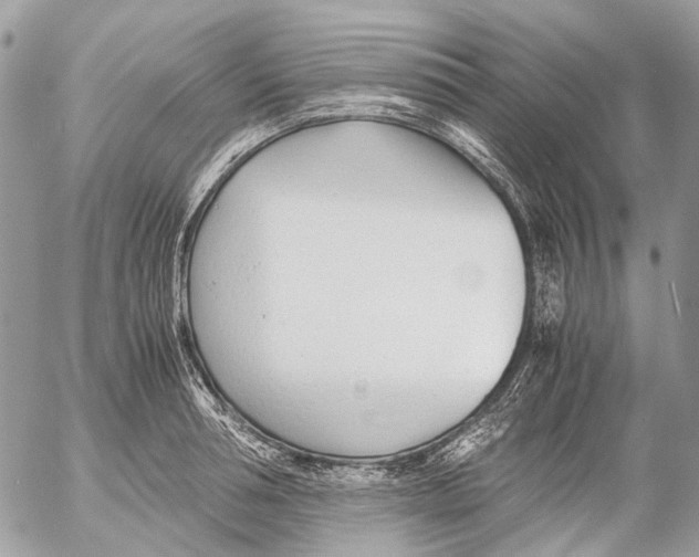 X0000053070994200508081215