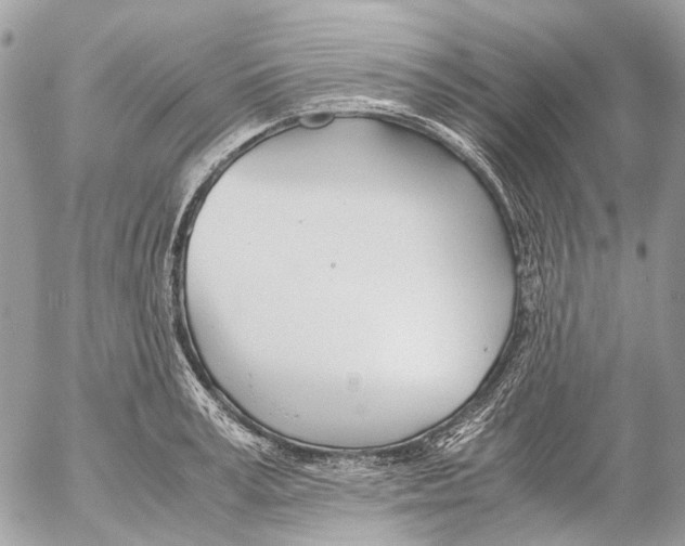 X0000053070995200508081215