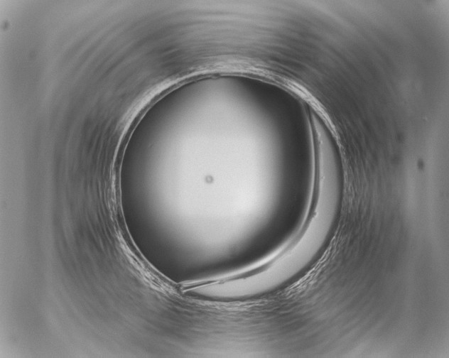 X0000053070996200508081215