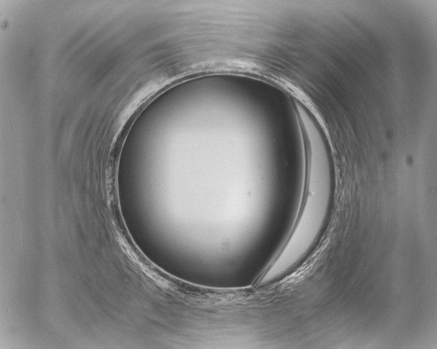 X0000053070997200508081215