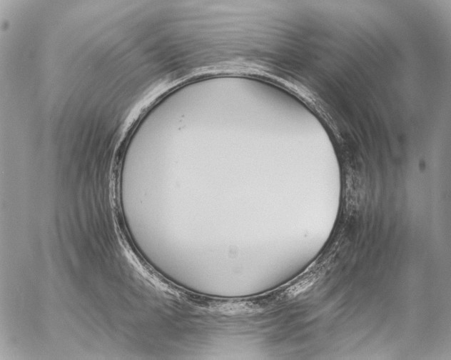 X0000053070998200508081215