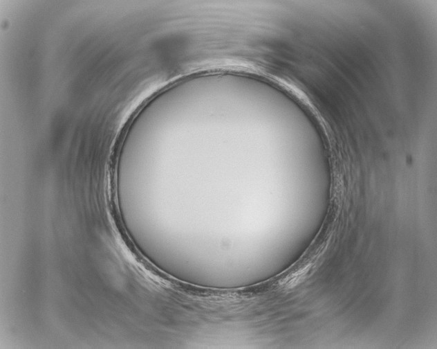 X0000053070999200508081215