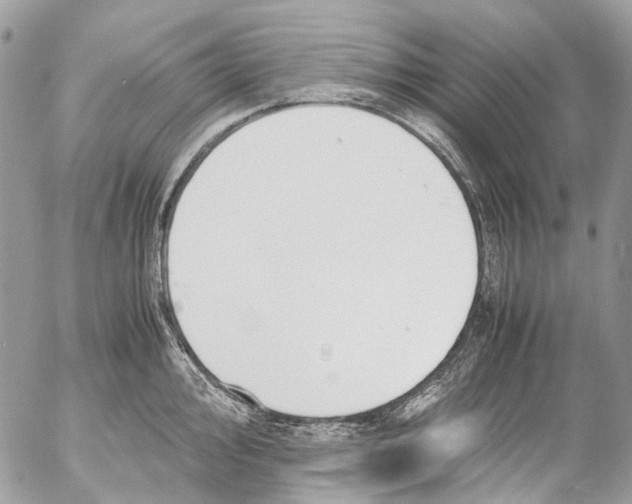 X0000053071000200508081215