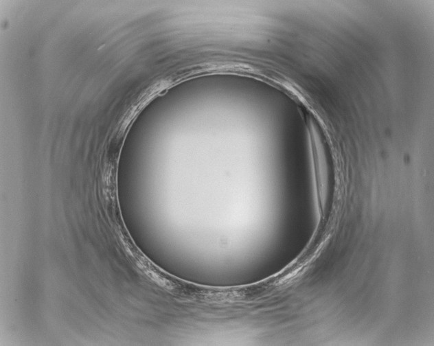 X0000053071001200508081215