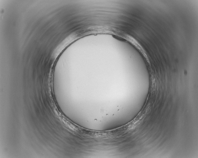 X0000053071002200508081215