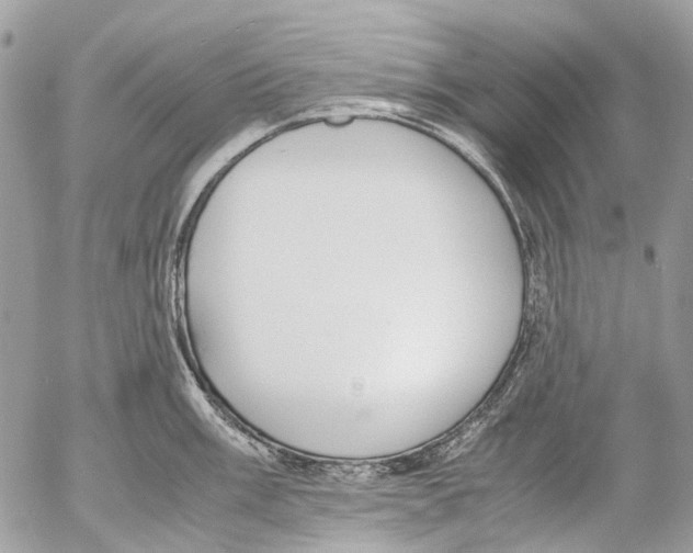 X0000053071003200508081215