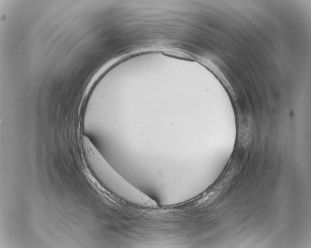 X0000053071004200508081215