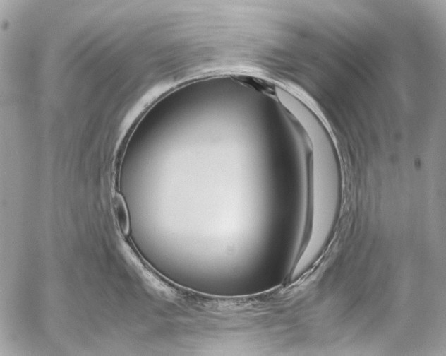 X0000053071005200508081215