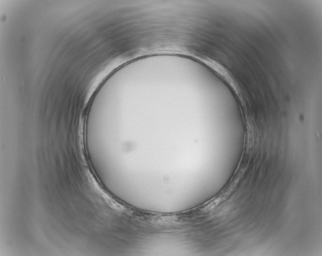 X0000053071006200508081215