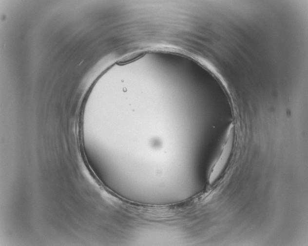 X0000053071007200508081215