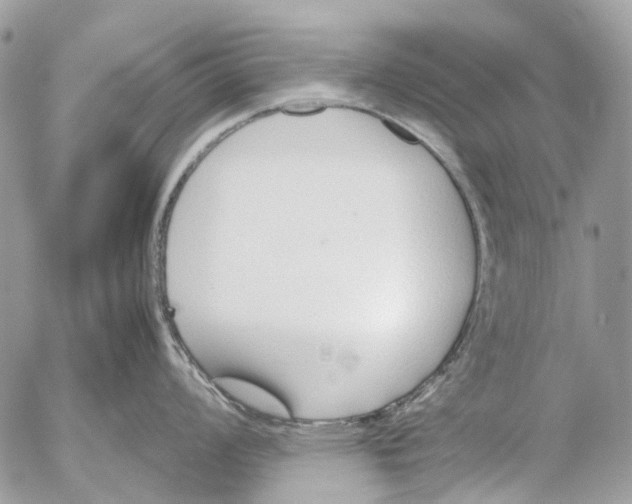 X0000053071008200508081215