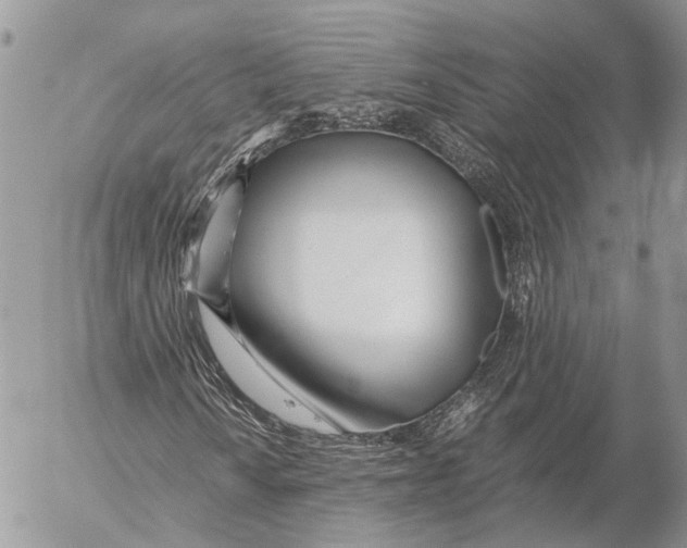 X0000053071010200508081214