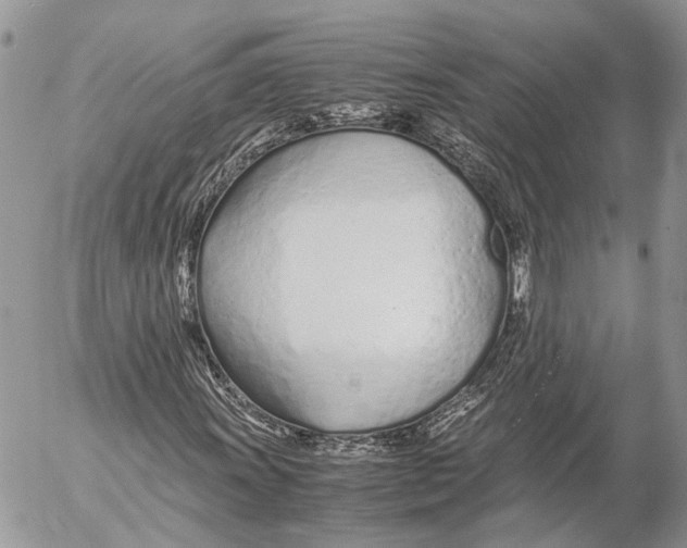 X0000053071011200508081214