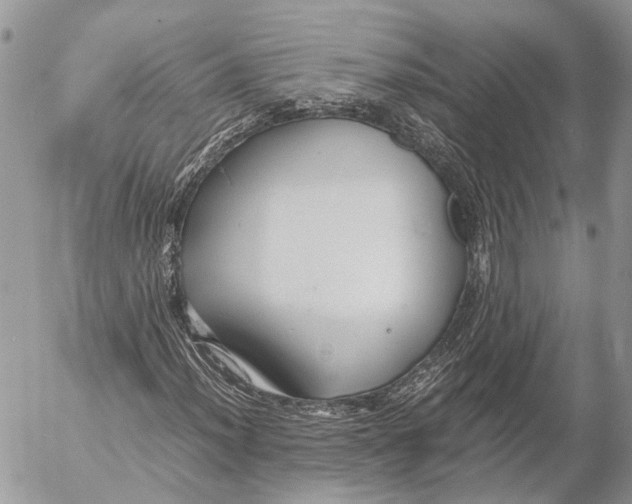 X0000053071012200508081214