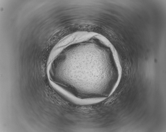 X0000053071013200508081214