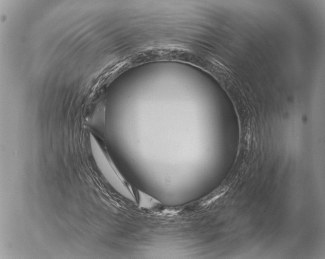 X0000053071014200508081214