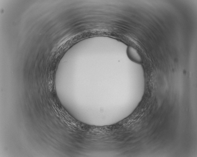 X0000053071015200508081214