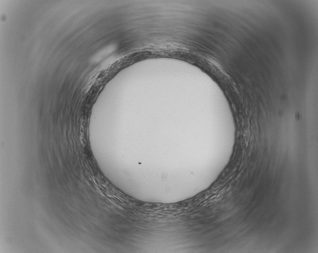 X0000053071016200508081214