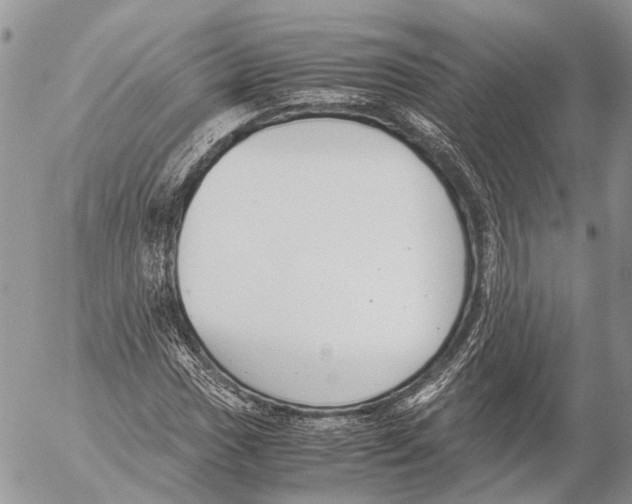 X0000053071017200508081214