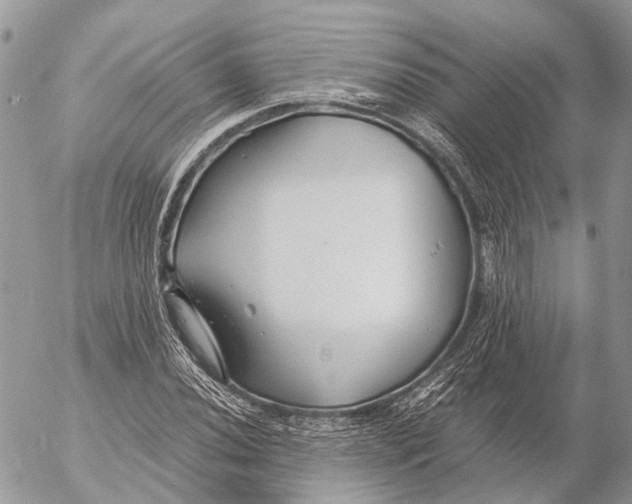 X0000053071020200508081214