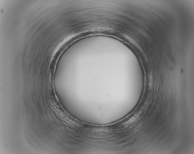 X0000053071021200508081214