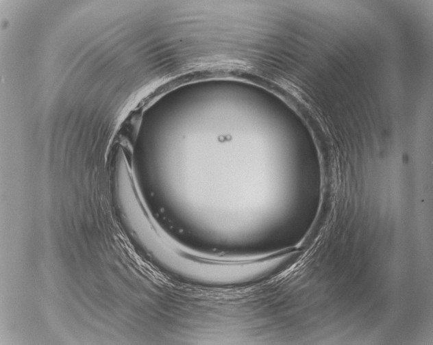 X0000053071022200508081214