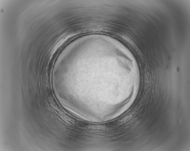 X0000053071023200508081214