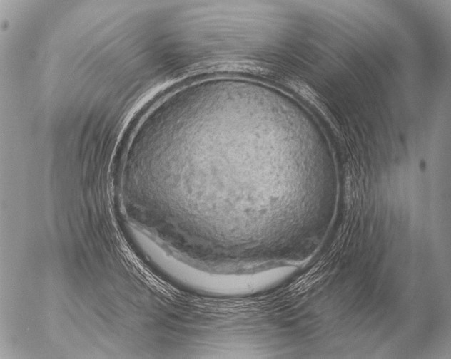 X0000053071024200508081214