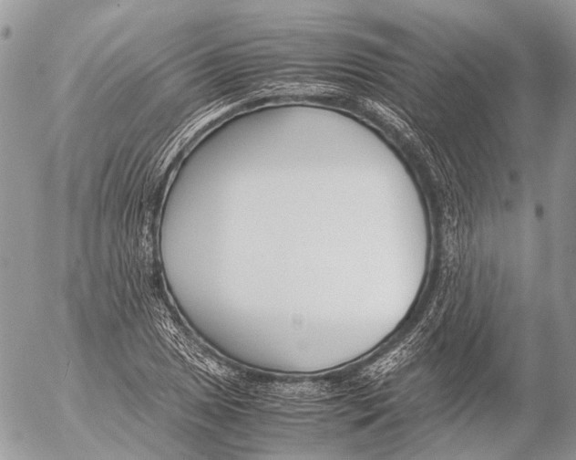 X0000053071025200508081214