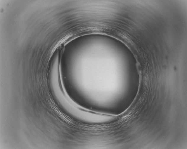 X0000053071026200508081214