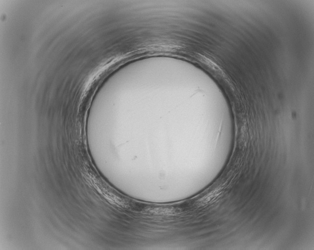 X0000053071027200508081214