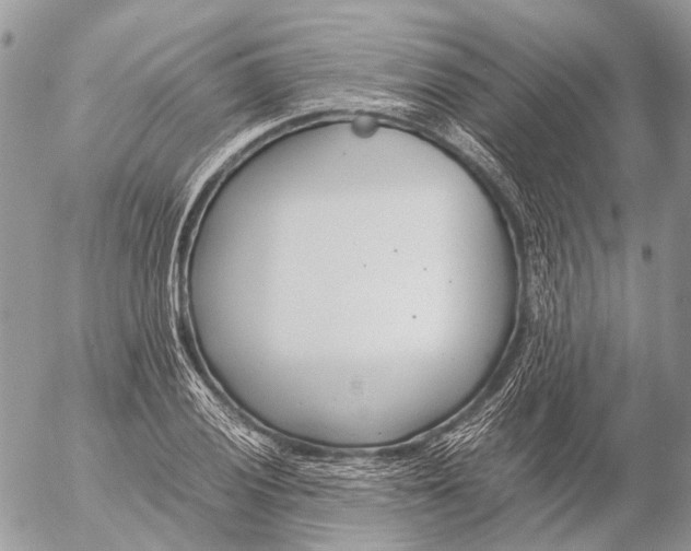 X0000053071028200508081214